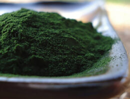 Spirulina Nutrition