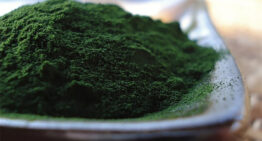 Spirulina Nutrition